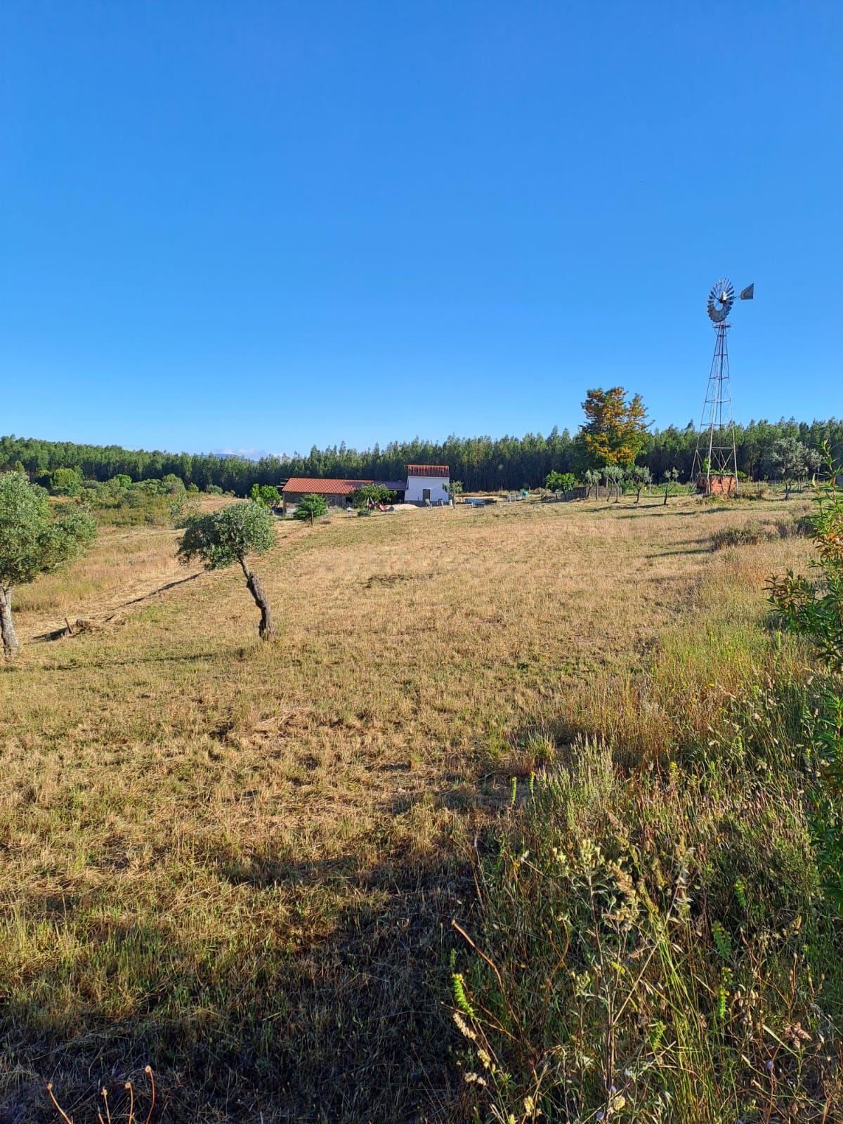 Quinta com 71280 m2 em Palvarinho, Castelo Branco - Image 24