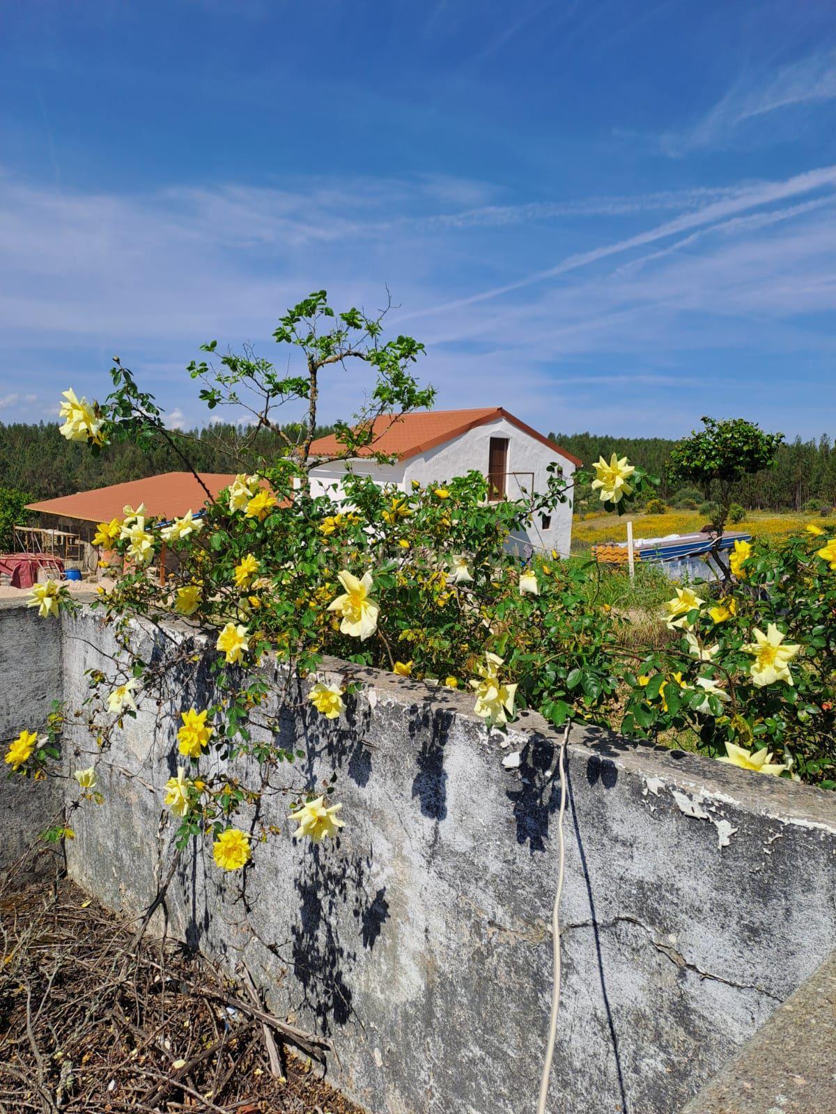 Quinta com 71280 m2 em Palvarinho, Castelo Branco - Image 2