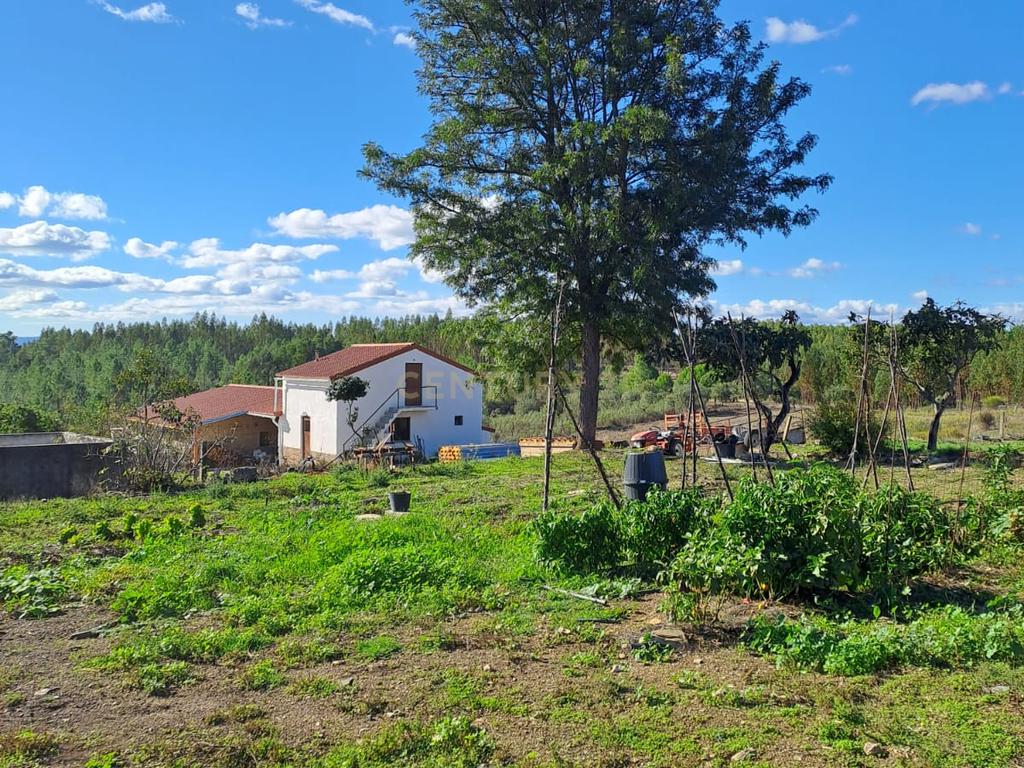 Quinta com 71280 m2  em Palvarinho, Castelo Branco - Image 4