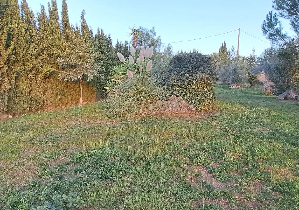 ✨ Moradia Exclusiva em Arriate – Piscina, Vistas e Alta Rentabilidade Turística 📍Ariate, Serrania de Ronda | 📐 Terreno de 5.600 m² - Image 25