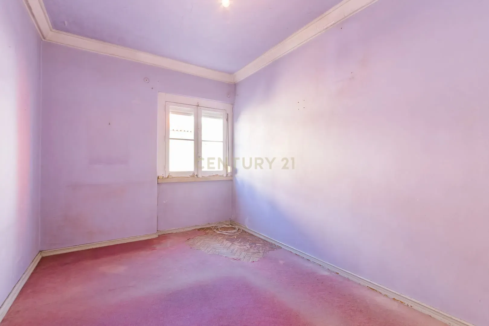 Apartamento T1 no Centro da Graça - Oportunidade de Renovação e Valorização - Image 38