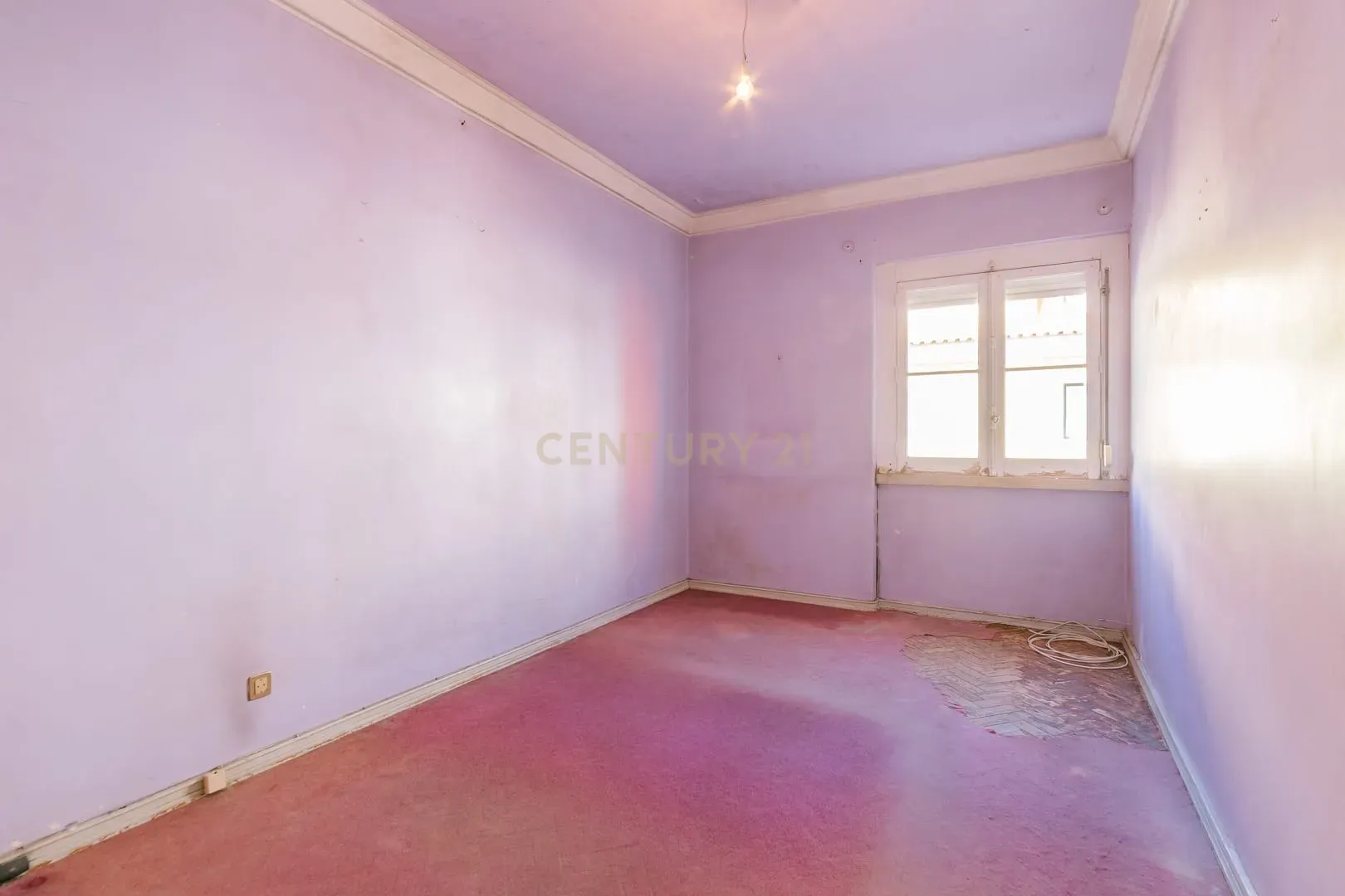 Apartamento T1 no Centro da Graça - Oportunidade de Renovação e Valorização - Image 37
