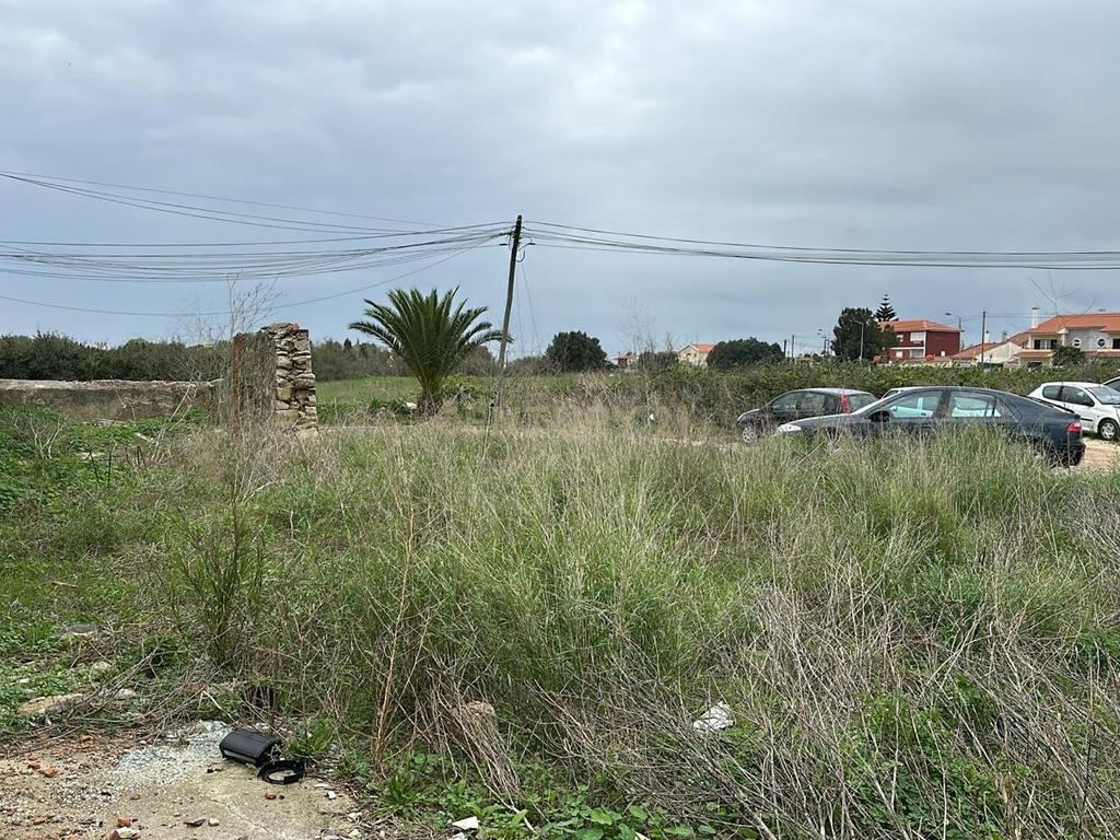 Terreno Urbano para construção - Trajouce - Image 3