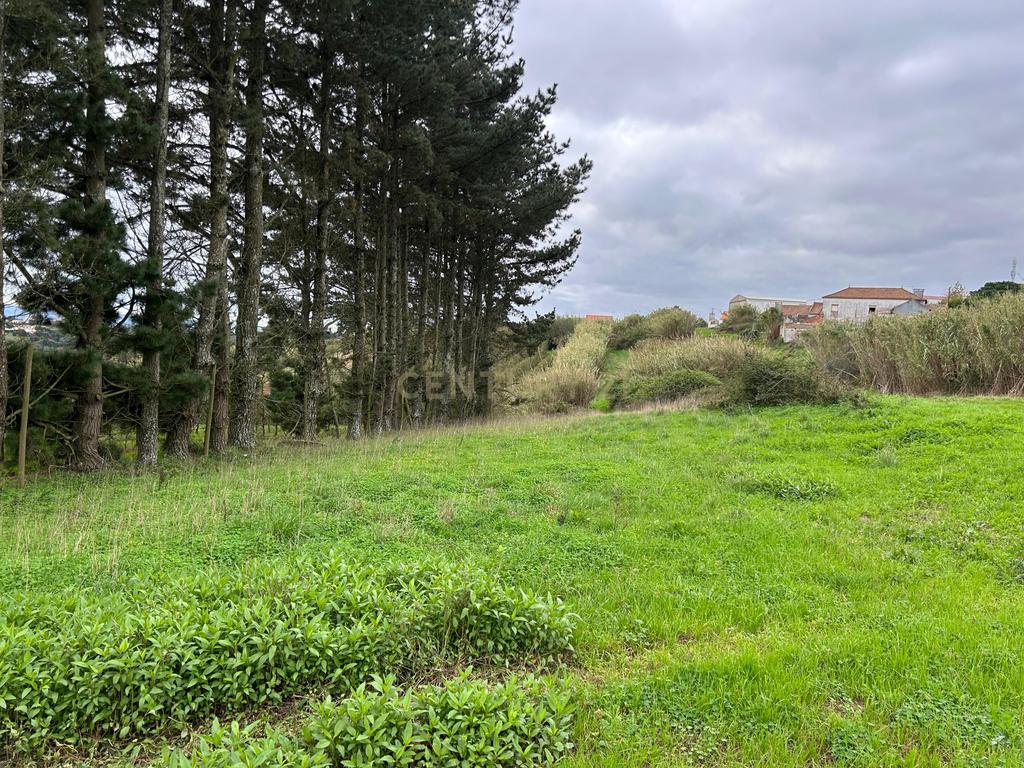 Magnífica oportunidade de investimento, terreno com área de 5160m2. - Image 3