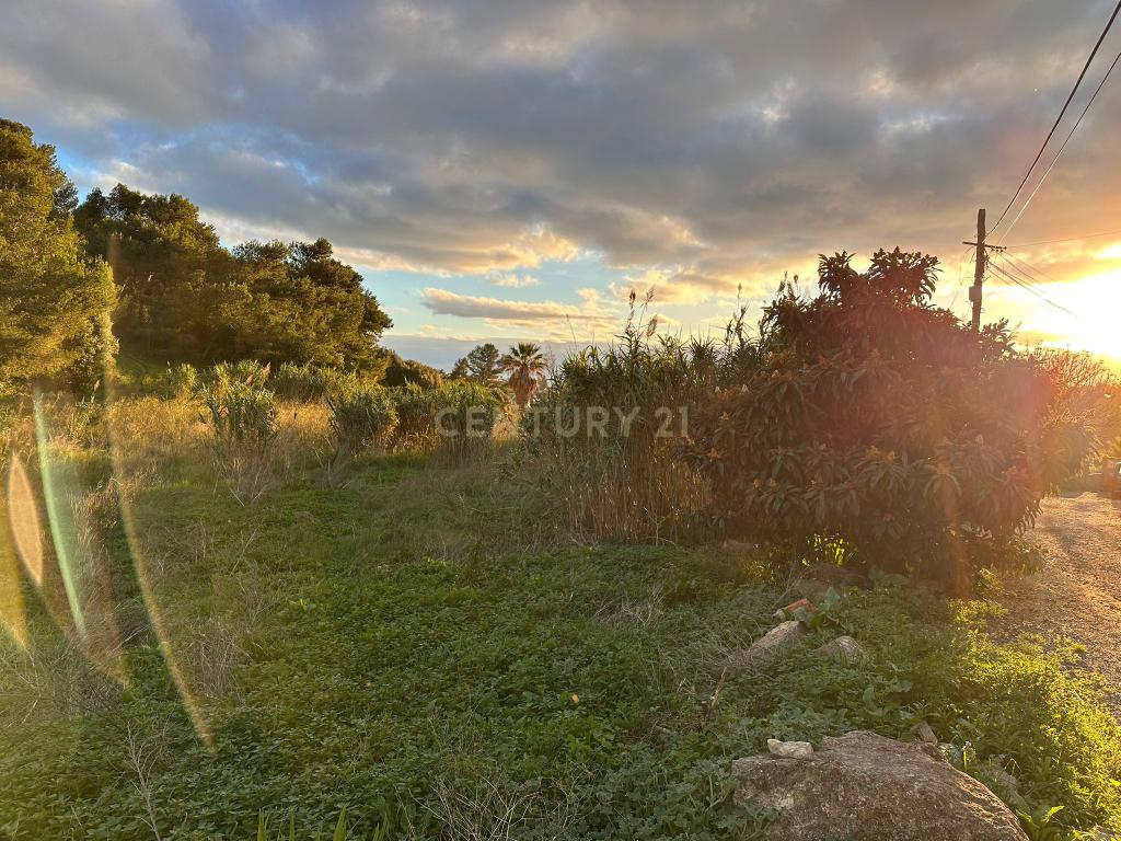 Terreno para Construção vista mar - Caparide | Cascais - Image 3
