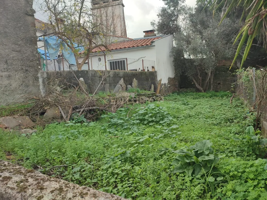 Moradia para reconstrução, Monte Fidalgo/Perais, Vila Velha de Ródão - Image 4