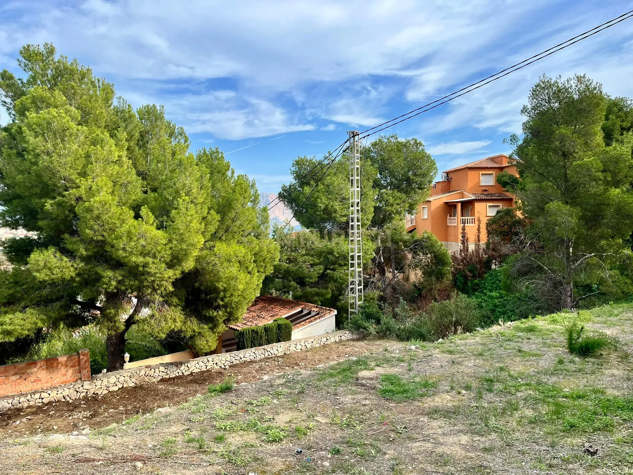 undefined - Image 8