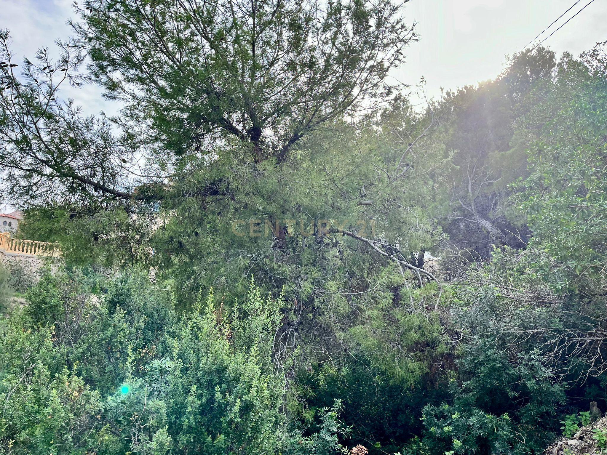 undefined - Image 14