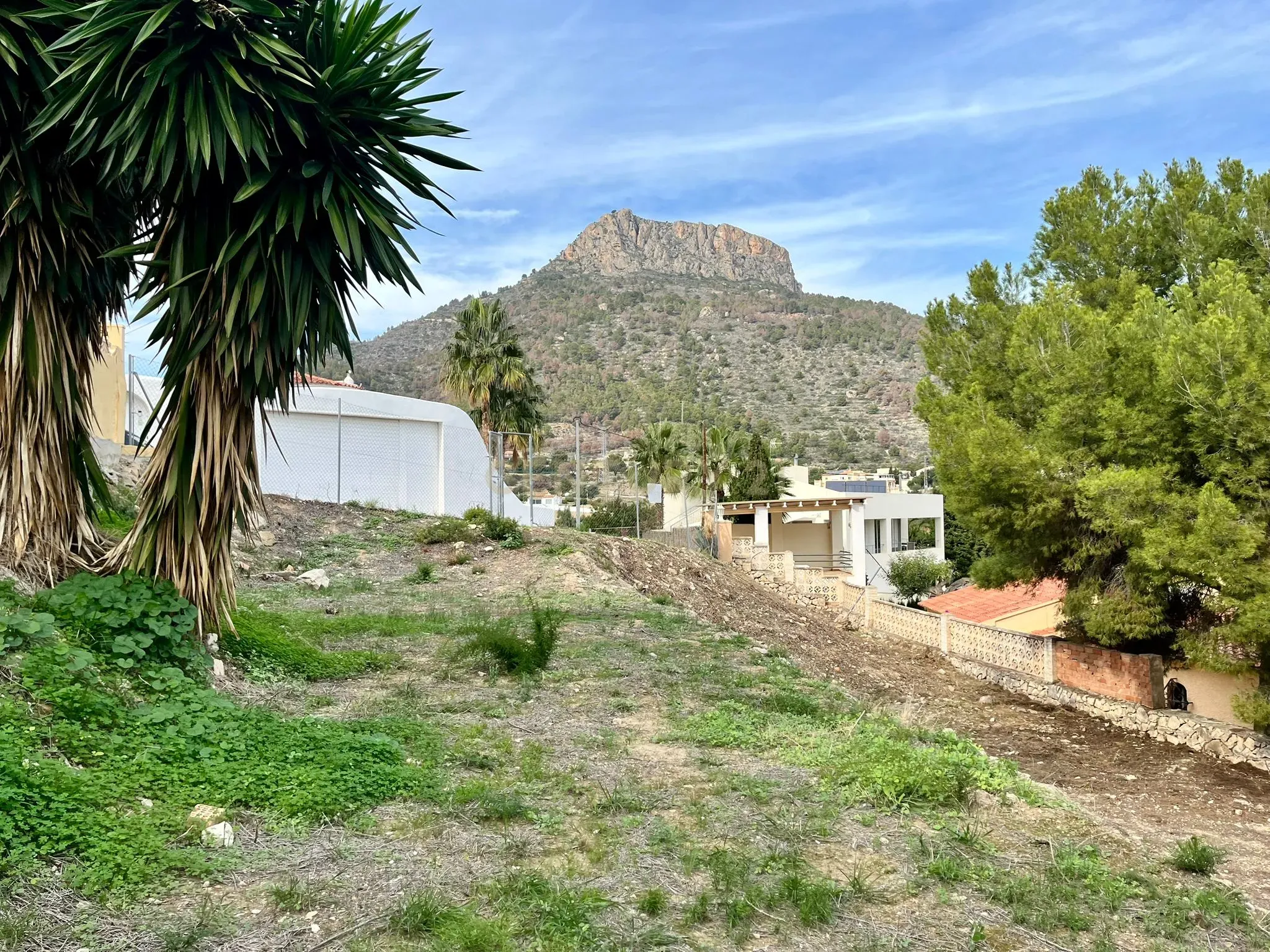 undefined - Image 4