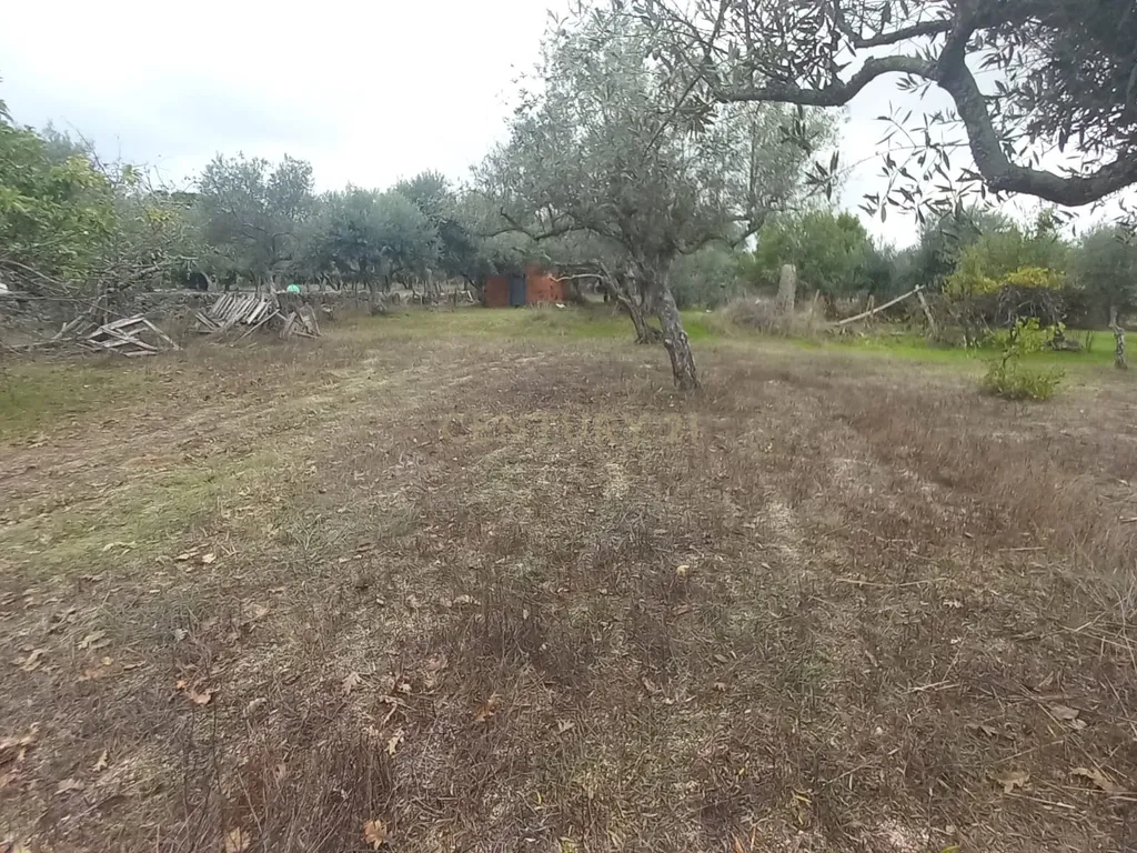 Terreno Rustico Lardosa - Image 10