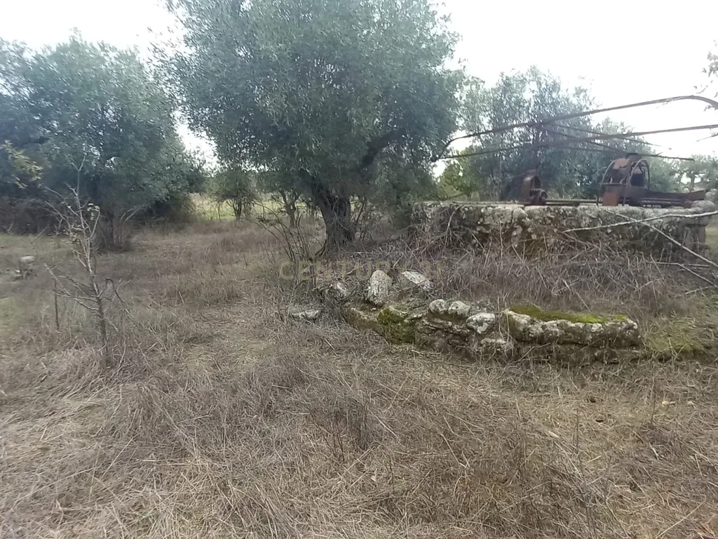 Terreno Rustico Lardosa - Image 1