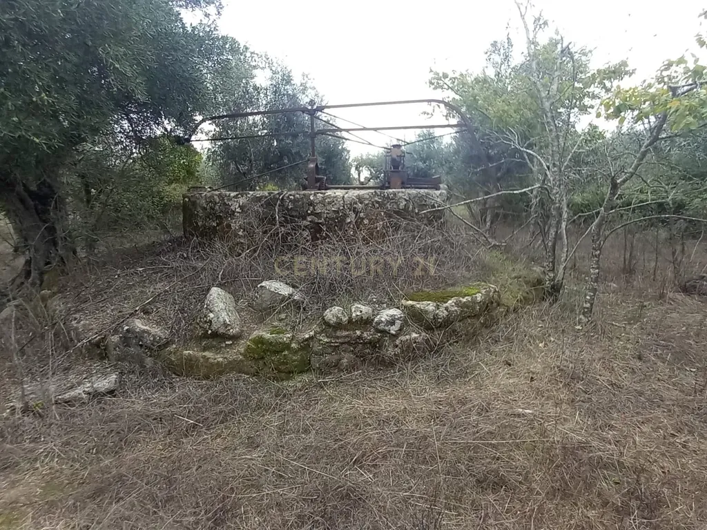 Terreno Rustico Lardosa - Image 15