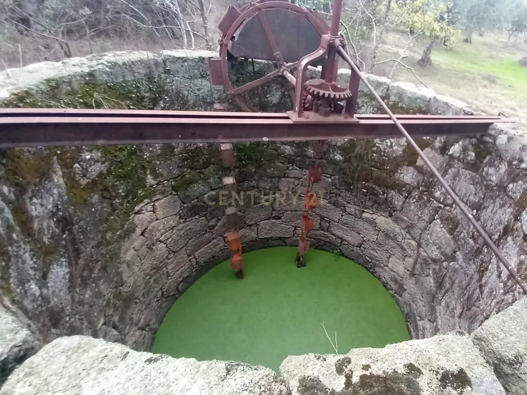 Terreno Rustico Lardosa - Image 9