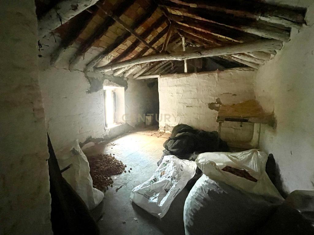 undefined - Image 12