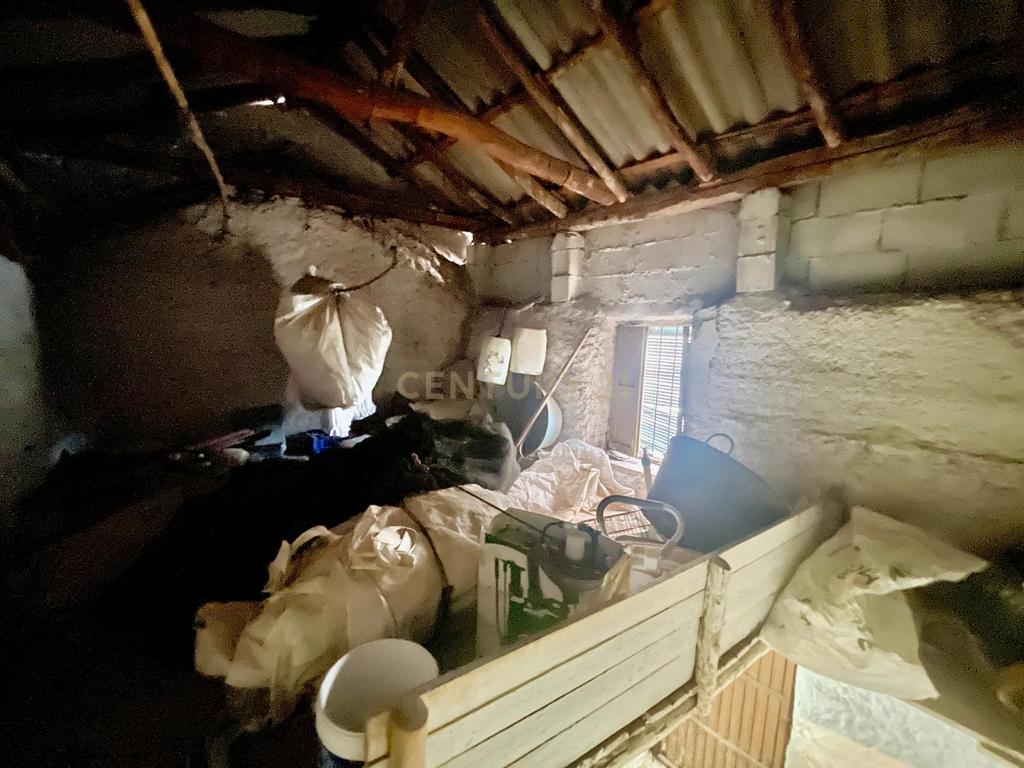 undefined - Image 11
