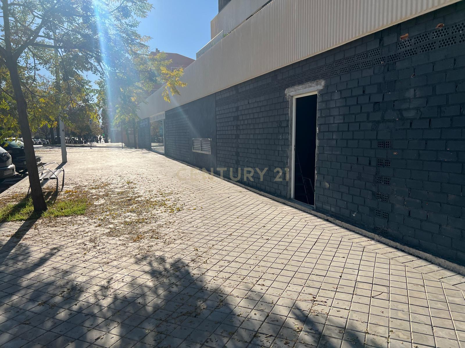 undefined - Image 6