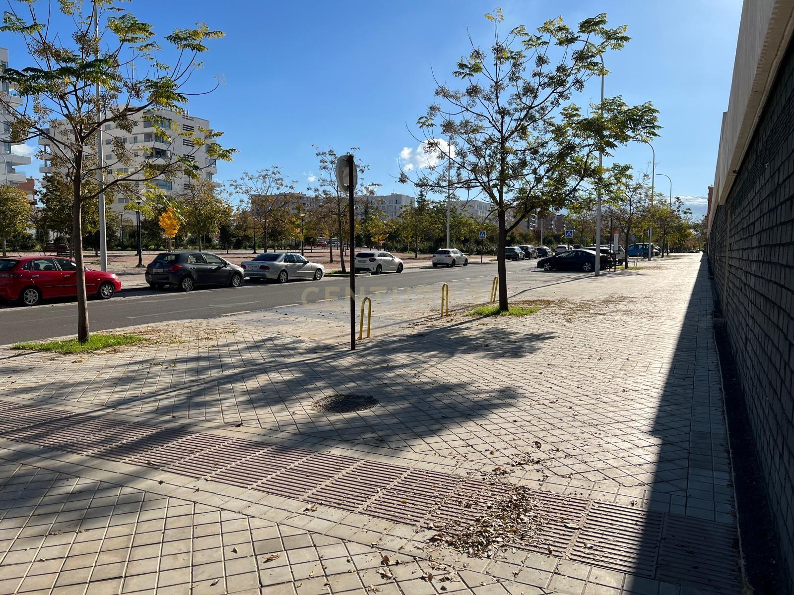 undefined - Image 11