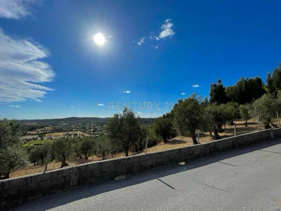 Terreno Misto | Portalegre - Image 16
