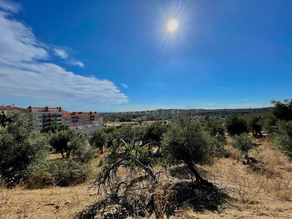 Terreno Misto | Portalegre - Image 1