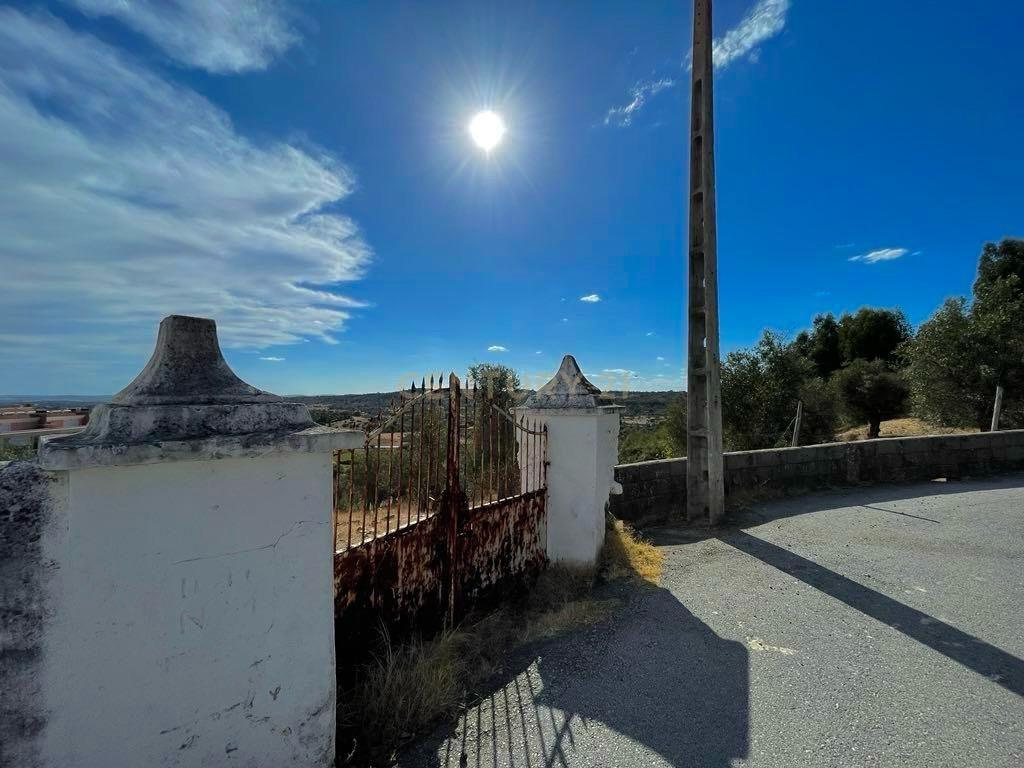 Terreno Misto | Portalegre - Image 14
