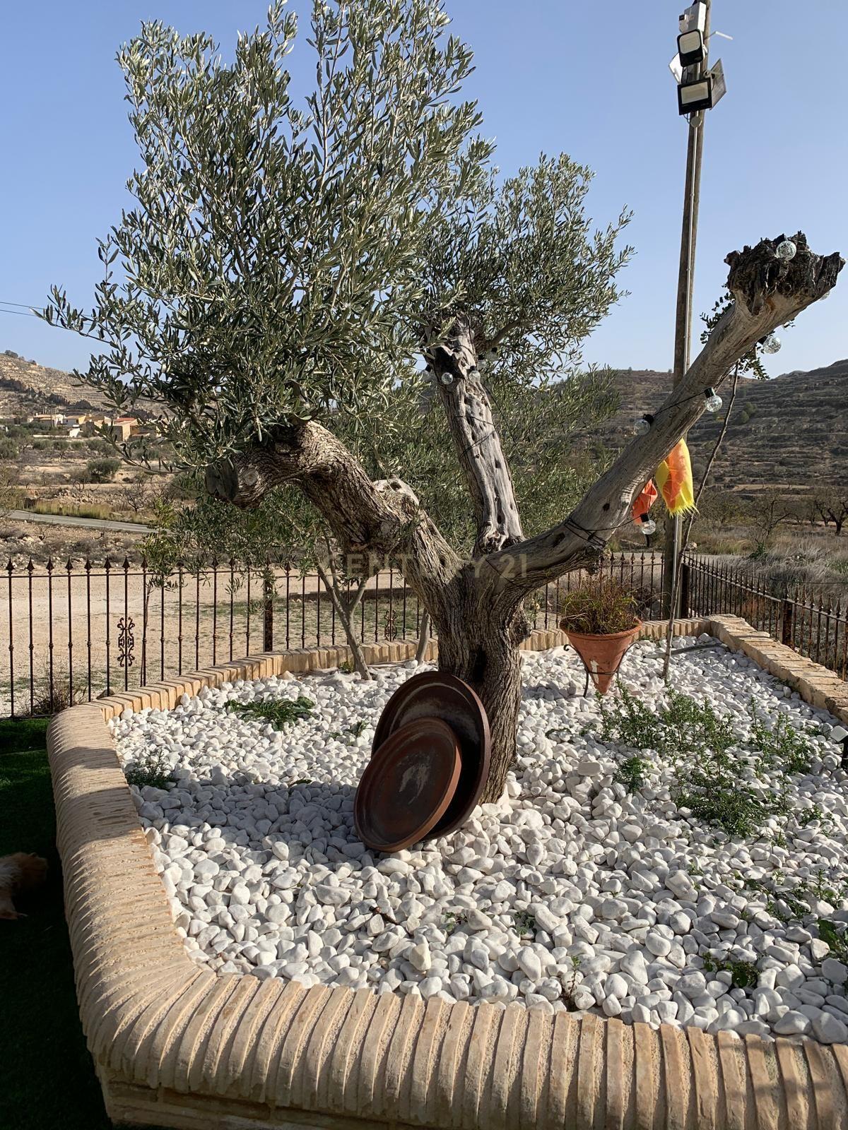 undefined - Image 8