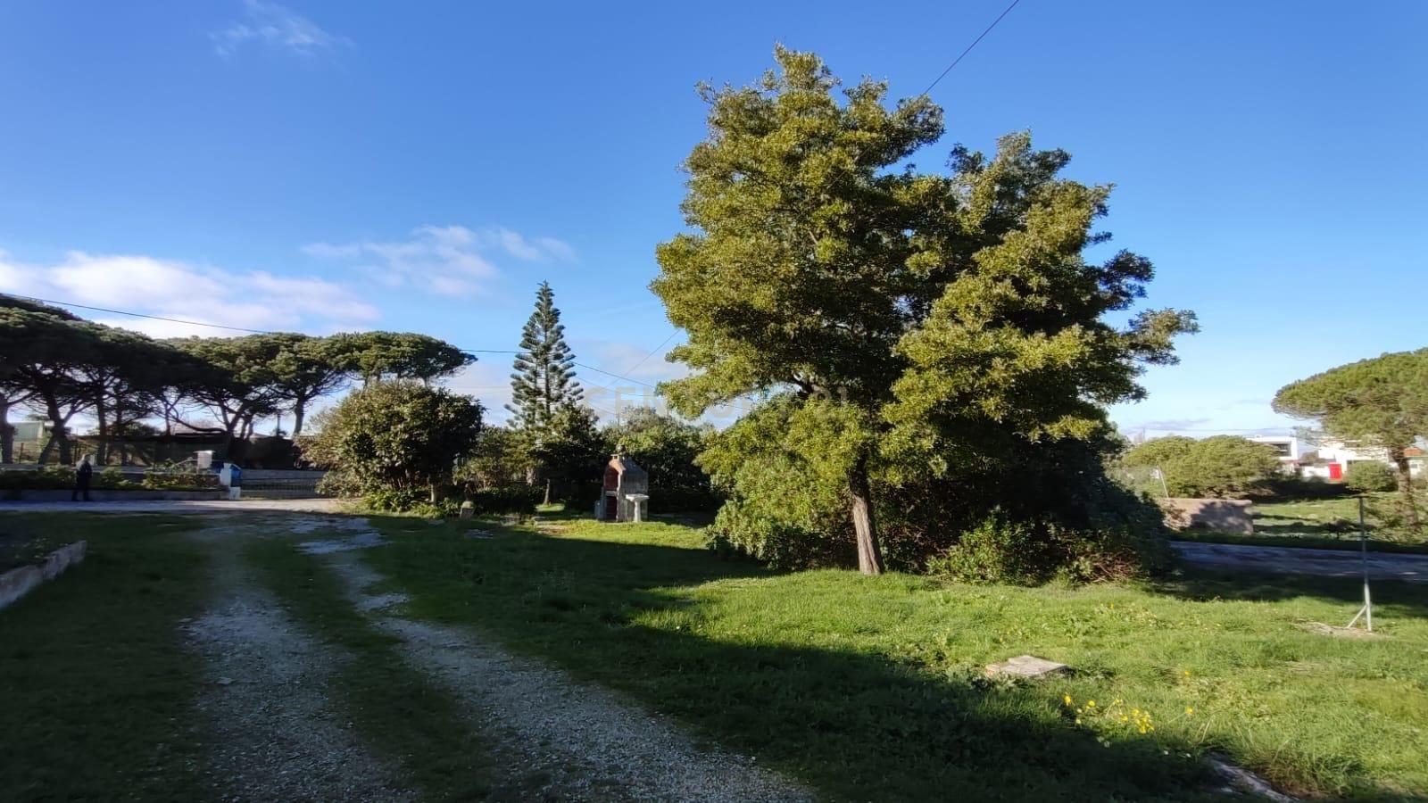 Quinta em São João das Lampas - Image 3