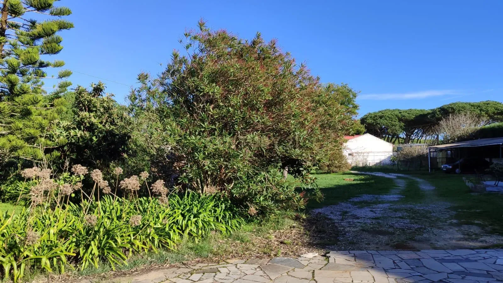 Quinta em São João das Lampas - Image 4