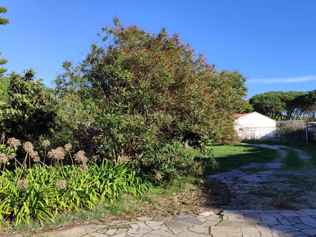 Quinta em São João das Lampas - Image 4