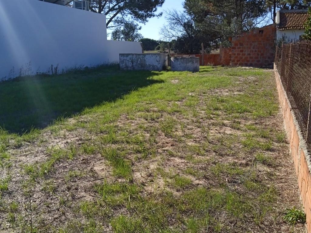 TERRENO em ALHOS VEDROS( bairro francisco pires) - Image 4