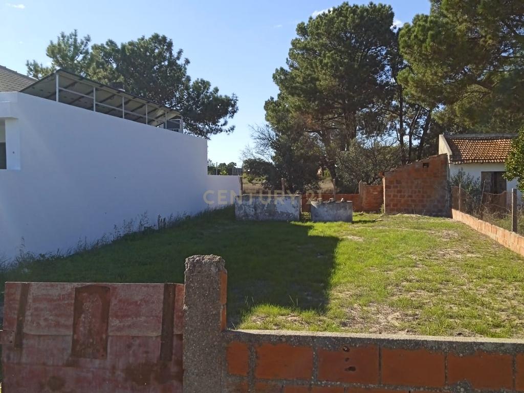 TERRENO em ALHOS VEDROS( bairro francisco pires) - Image 3