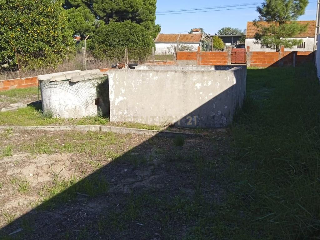 TERRENO em ALHOS VEDROS( bairro francisco pires) - Image 5