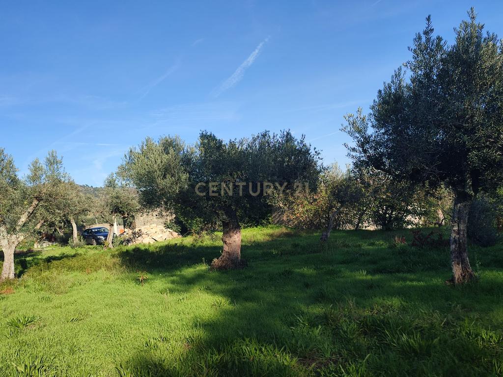 QUINTINHA no Louriçal do Campo, Castelo Branco - Image 18
