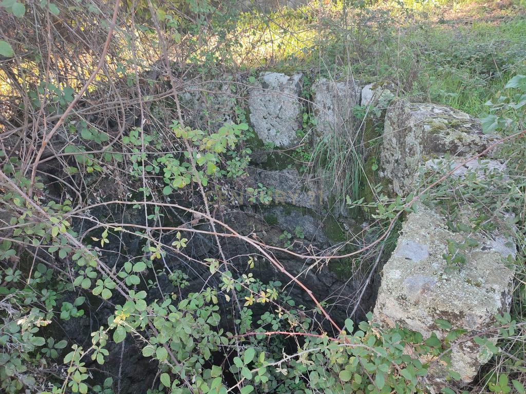 QUINTINHA no Louriçal do Campo, Castelo Branco - Image 29