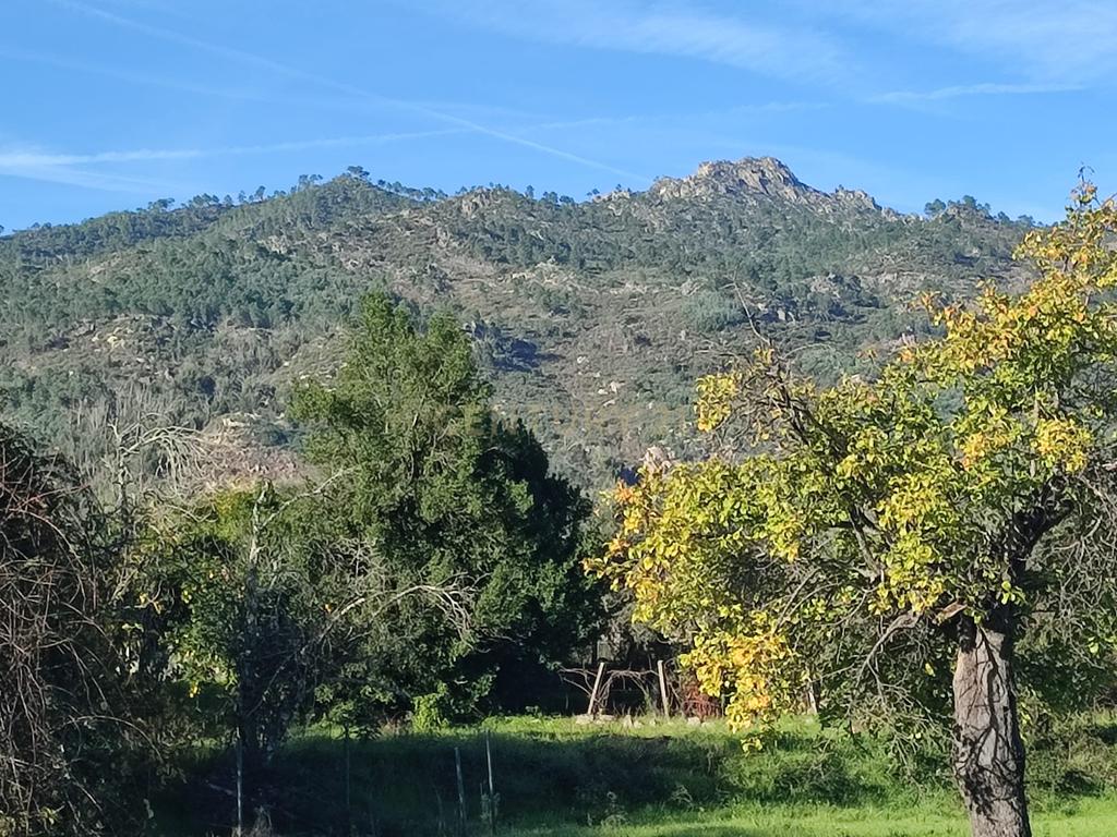 QUINTINHA no Louriçal do Campo, Castelo Branco - Image 10