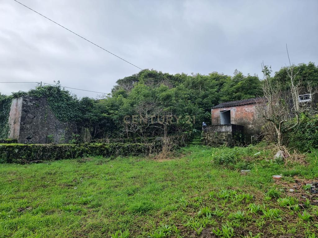 Esplêndida moradia c/ projeto. - Image 18