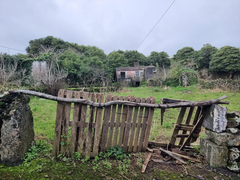 Esplêndida moradia c/ projeto. - Image 19