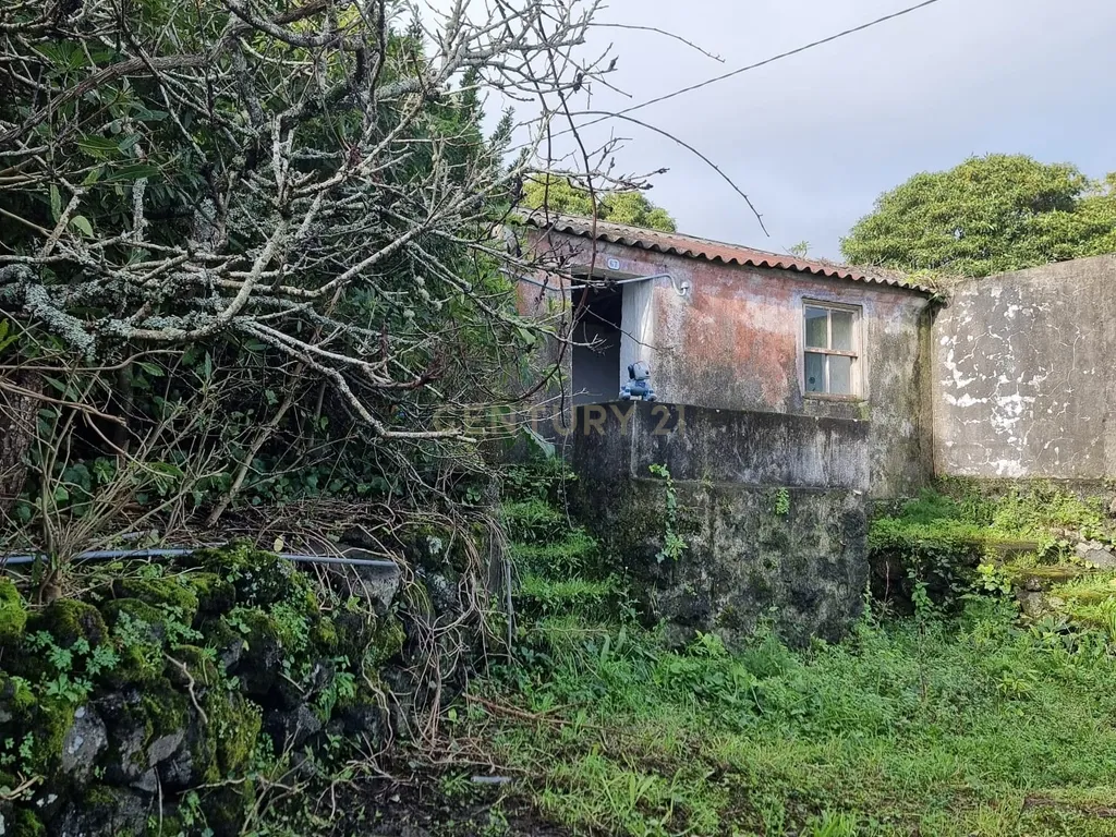 Esplêndida moradia c/ projeto. - Image 17