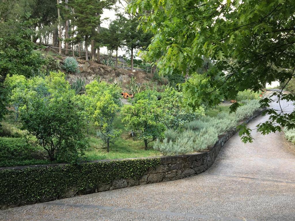 Herdade em Moreira de Cónegos – Moradia com 4 Frentes com Piscina 6 Hectares de terreno ideal para Organização de eventos, Alojamento local , boutique hotel etc - Image 15