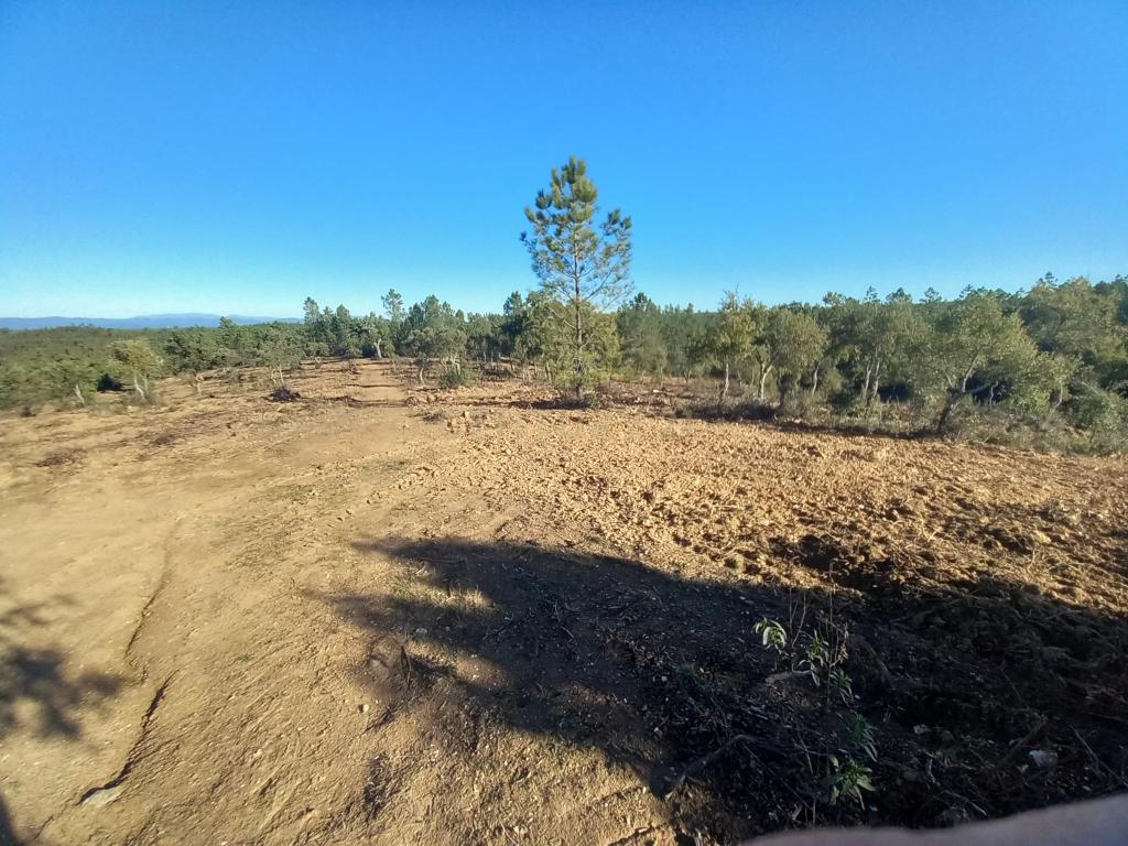 Terreno rustico com 16940m2-Sarnadas de Rodão - Image 2