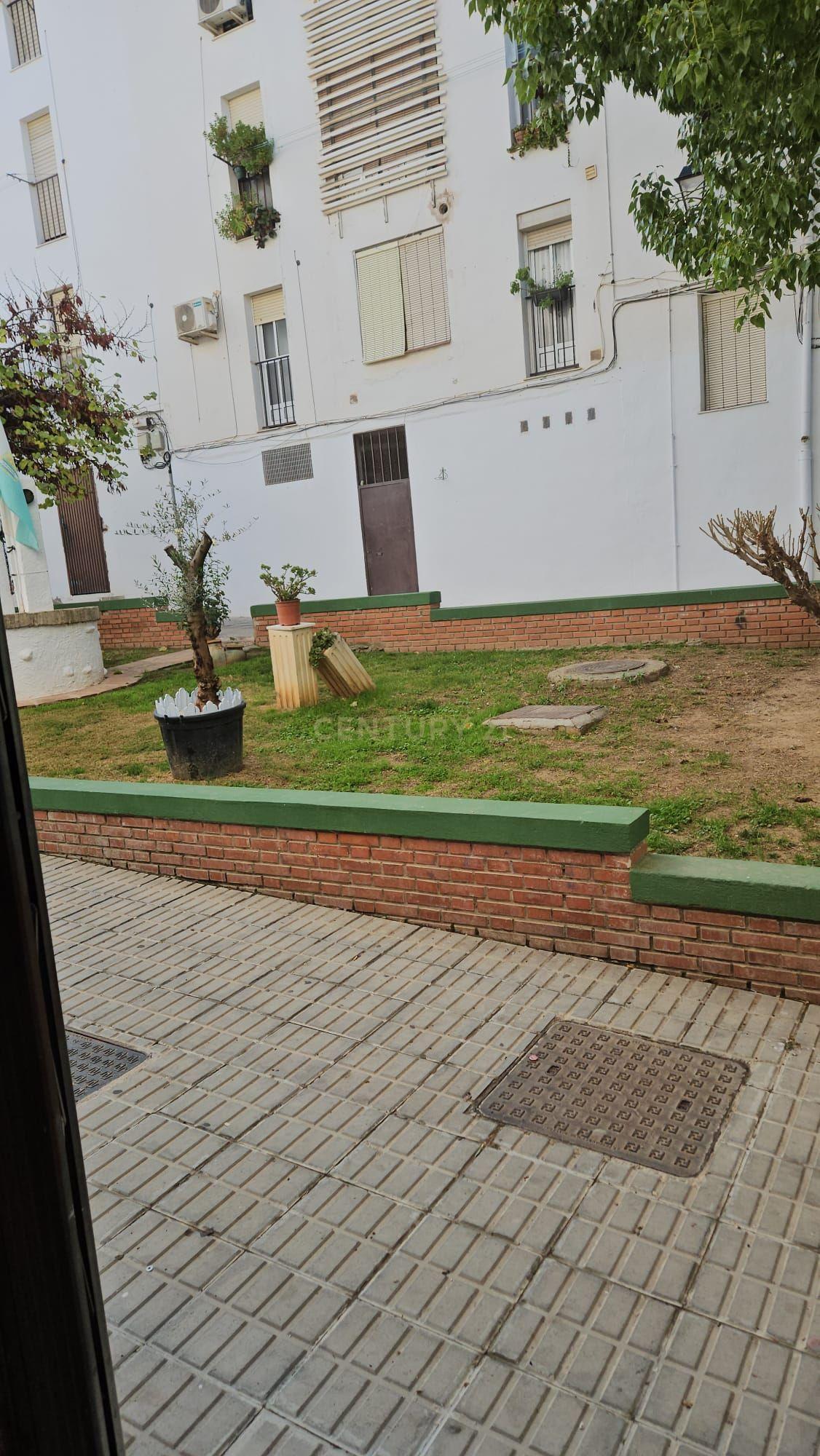 undefined - Image 12