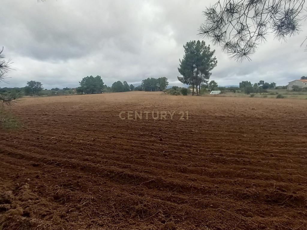 Terreno Rustico com 27250 m2 Lardosa - Image 3