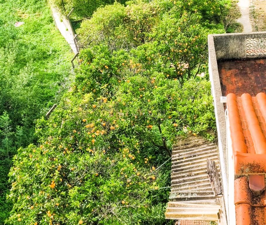 **Viva no Coração da Natureza de Monchique!** - Image 21