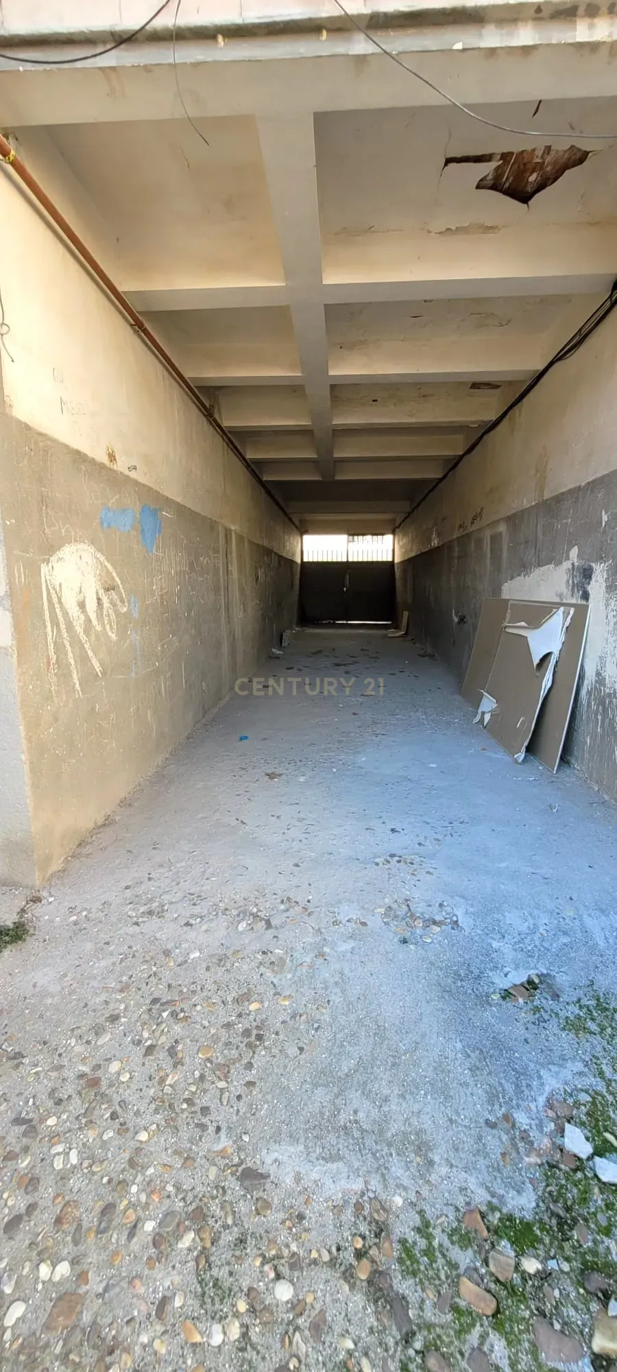 undefined - Image 5