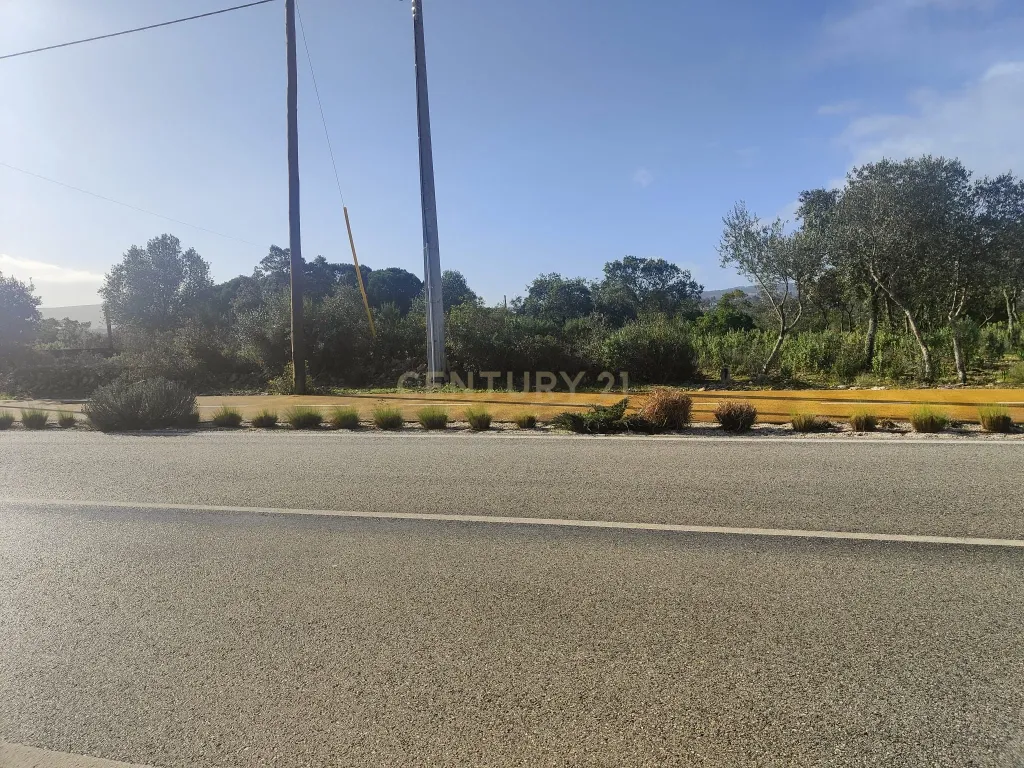 Terreno à Venda na Ortiga, Fátima - Image 16