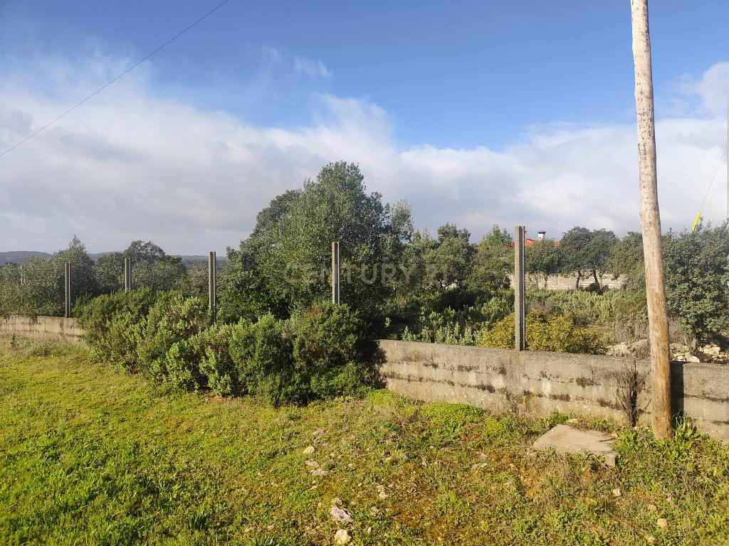 Terreno à Venda na Ortiga, Fátima - Image 8