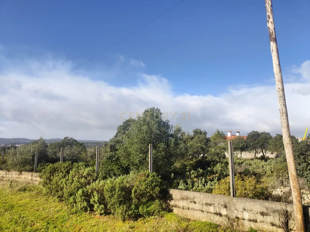 Terreno à Venda na Ortiga, Fátima - Image 4