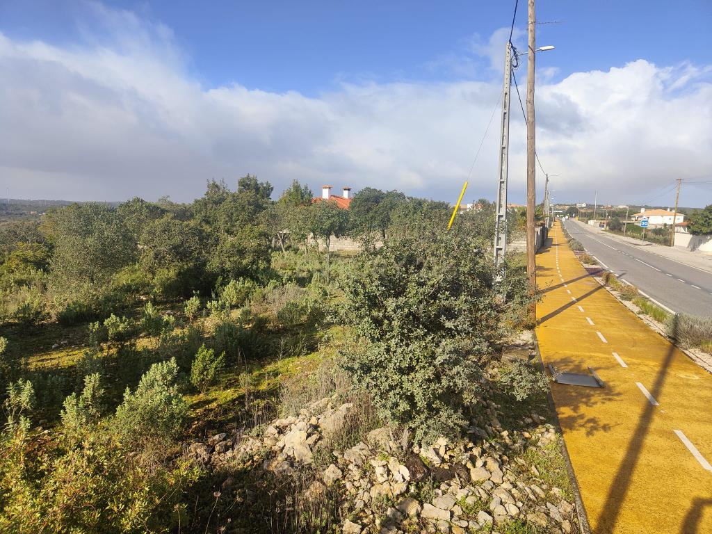 Terreno à Venda na Ortiga, Fátima - Image 5