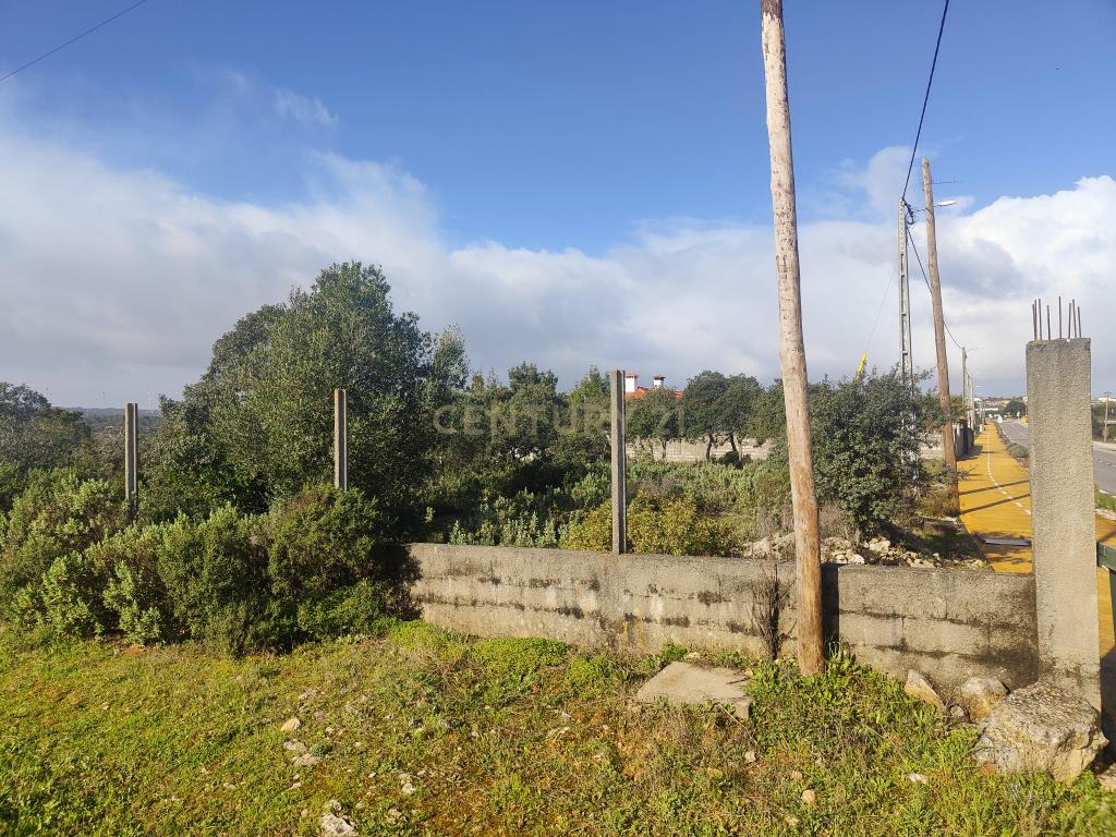 Terreno à Venda na Ortiga, Fátima - Image 7