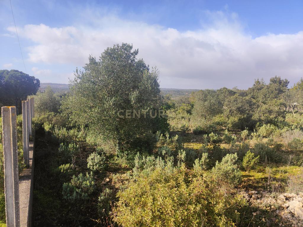 Terreno à Venda na Ortiga, Fátima - Image 10