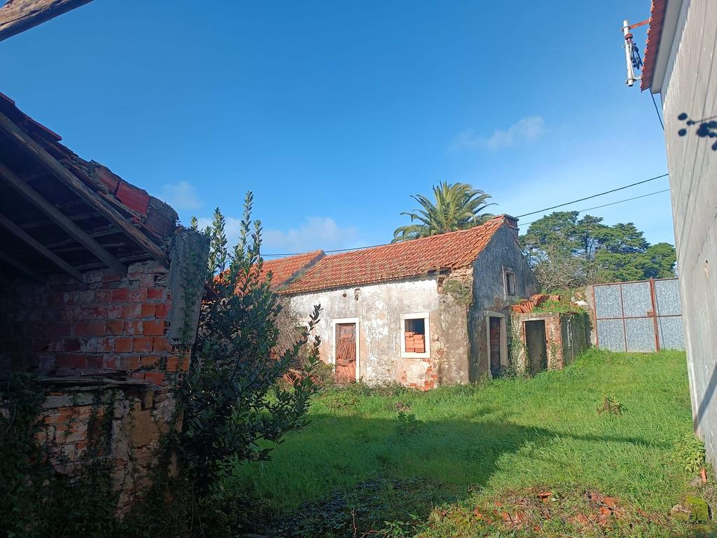 Casa para reabilitar em Cumeira de Santa Catarina, Caldas da Rainha - Image 28